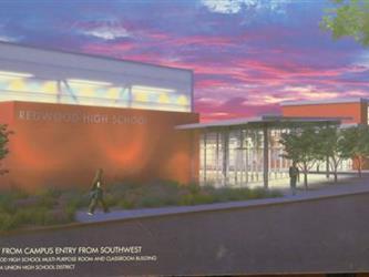 Redwood Rendering 2